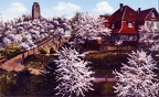 wzgorza-14