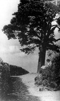 wzgorza-19