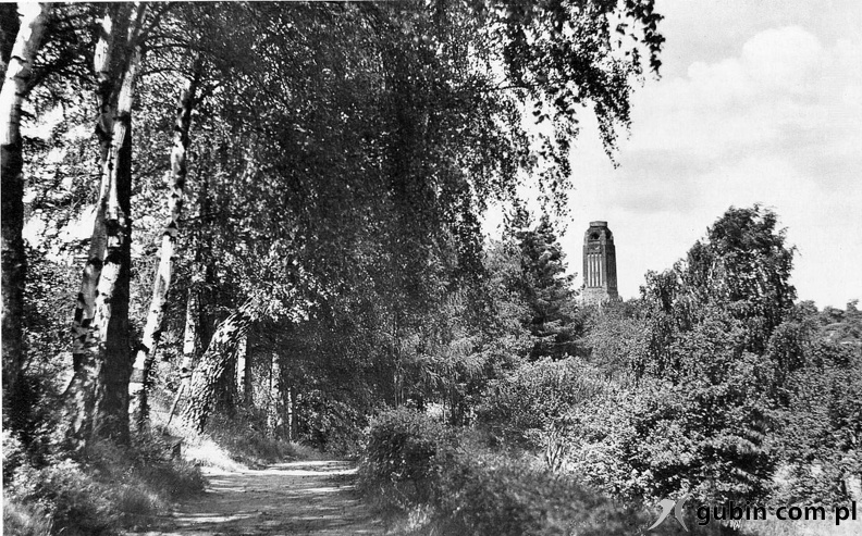 wzgorza-37.jpg